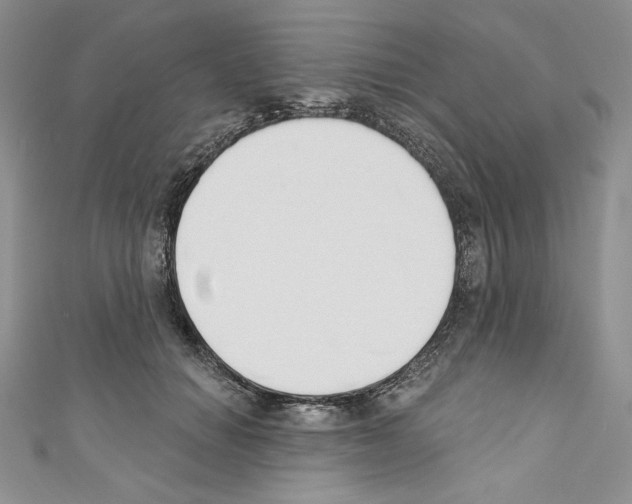 X0000110760654200907271145