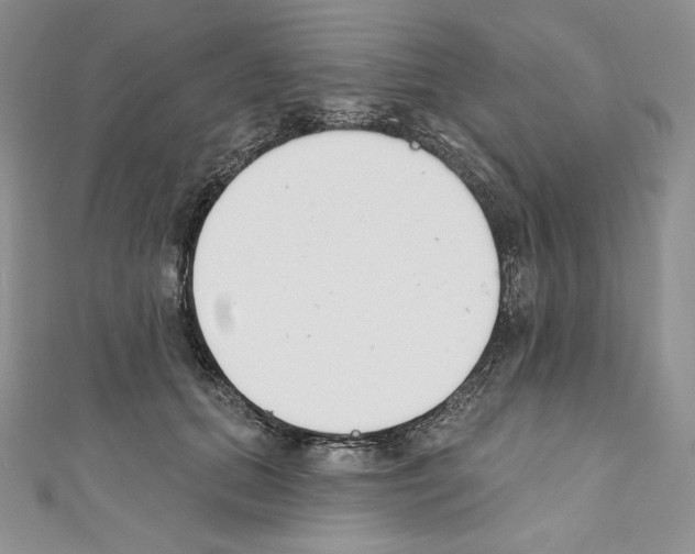 X0000110760655200907271145