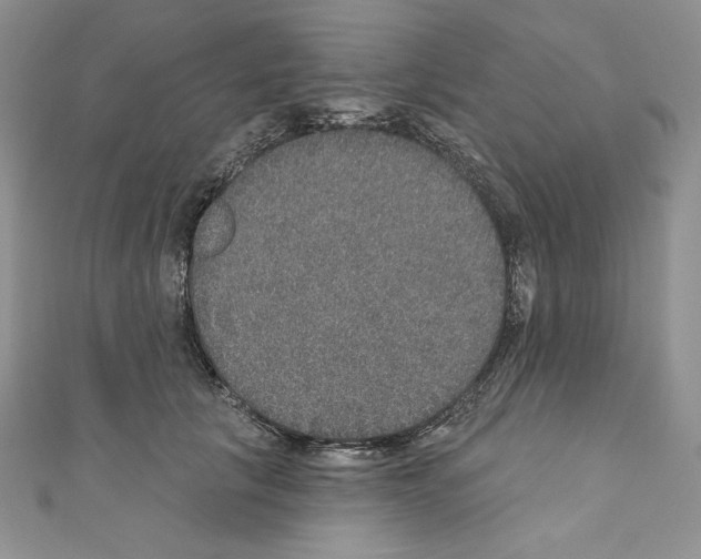 X0000110760657200907271145