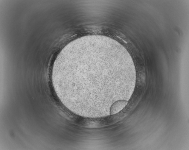 X0000110760658200907271145