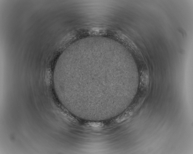 X0000110760659200907271145