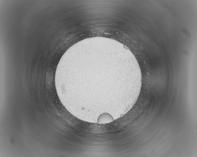 X0000110760660200907271145