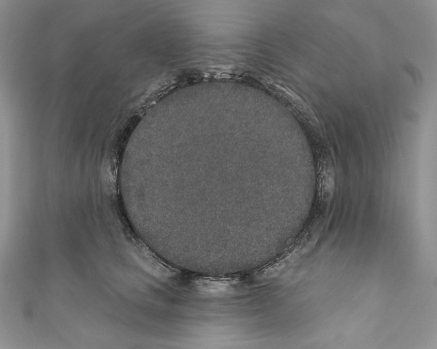 X0000110760661200907271145