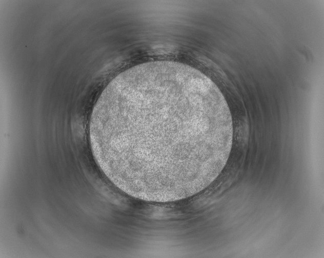 X0000110760662200907271145
