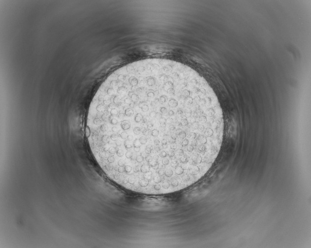 X0000110760666200907271145
