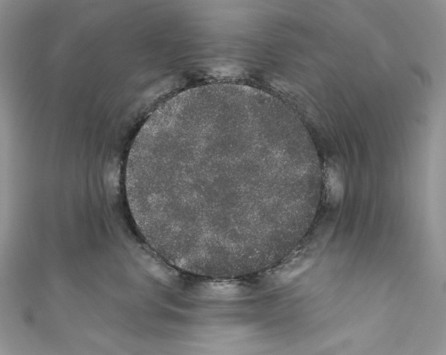 X0000110760668200907271145