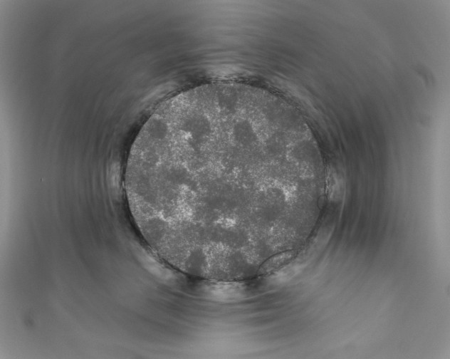 X0000110760670200907271145