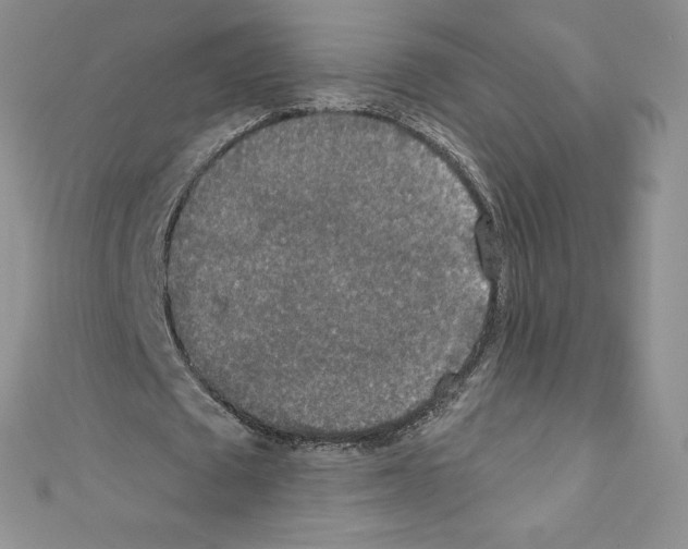 X0000110760673200907271144