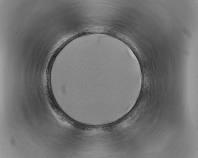 X0000110760674200907271144