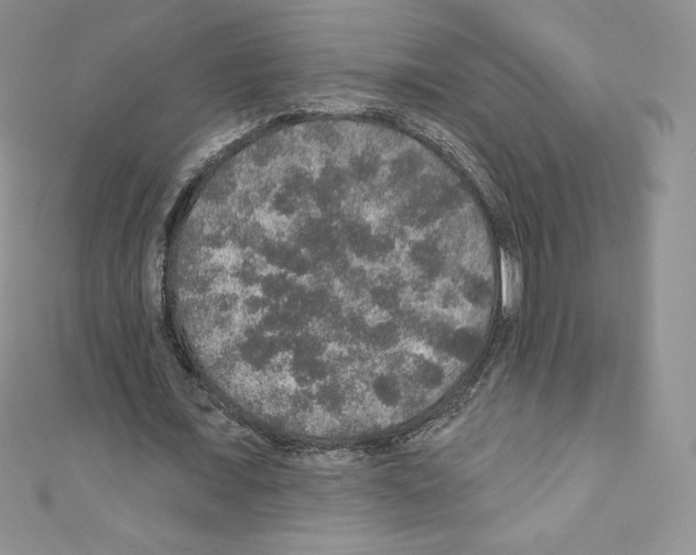 X0000110760675200907271144