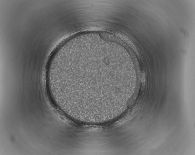 X0000110760676200907271144