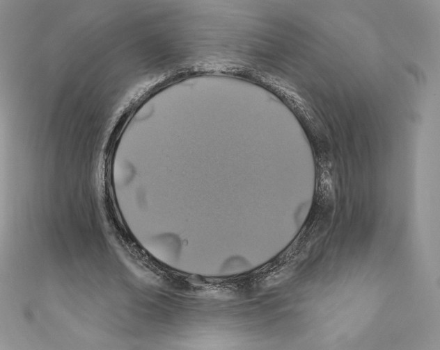 X0000110760678200907271144