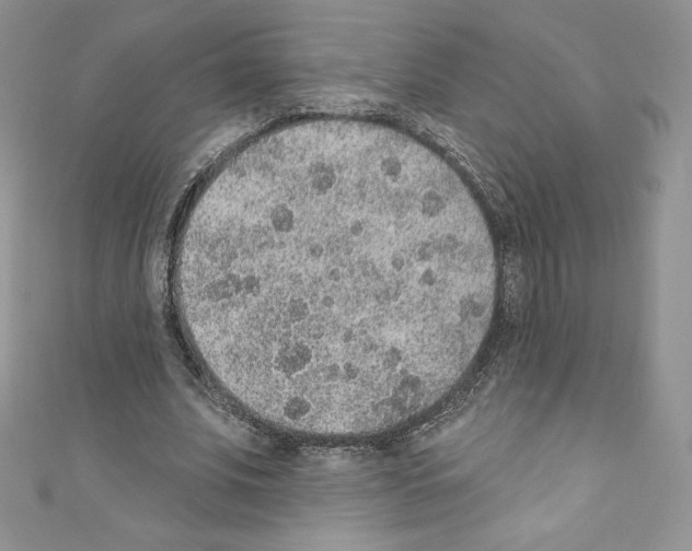 X0000110760679200907271144