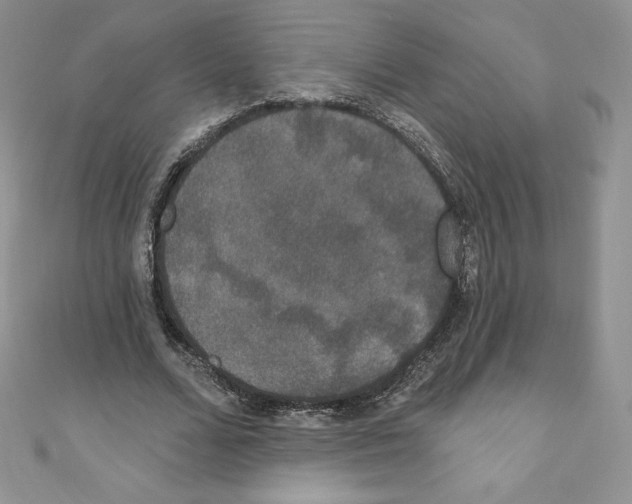 X0000110760680200907271144