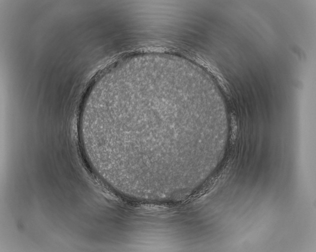 X0000110760681200907271144