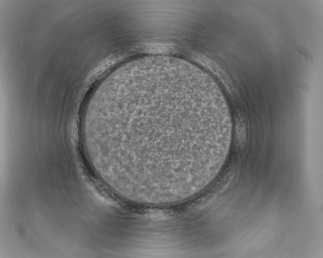 X0000110760682200907271144