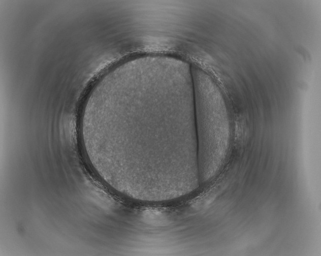 X0000110760684200907271144