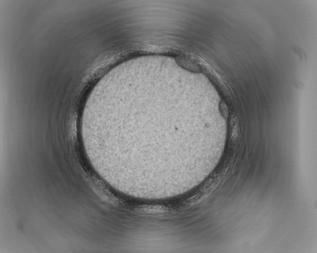 X0000110760685200907271144