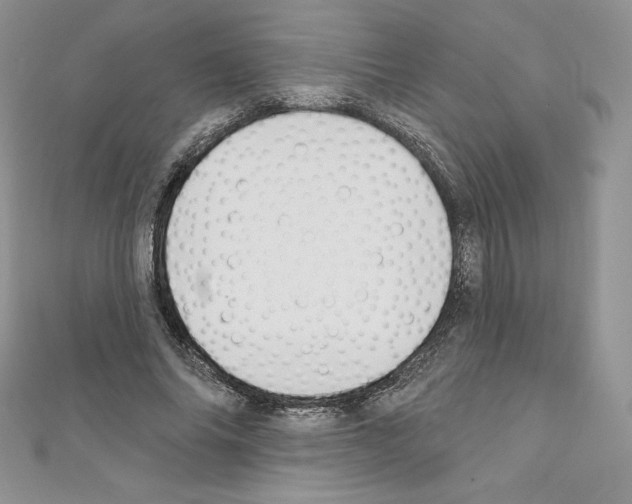 X0000110760686200907271144