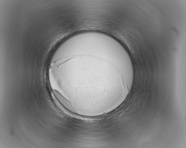 X0000110760688200907271144