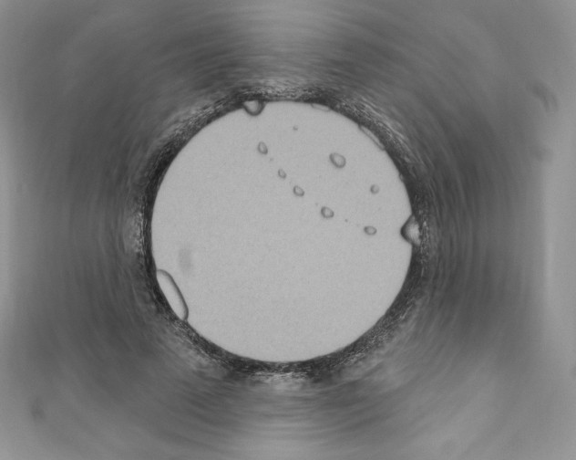 X0000110760689200907271144