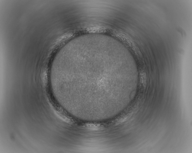 X0000110760690200907271144