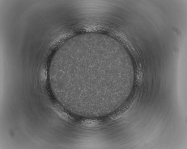 X0000110760691200907271144