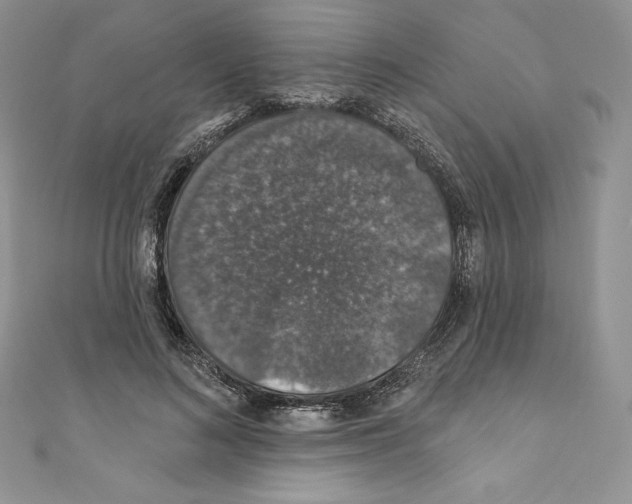 X0000110760692200907271144
