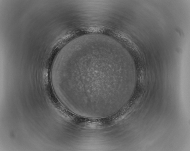 X0000110760696200907271144