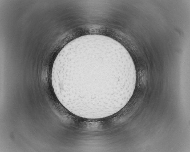 X0000110760698200907271144