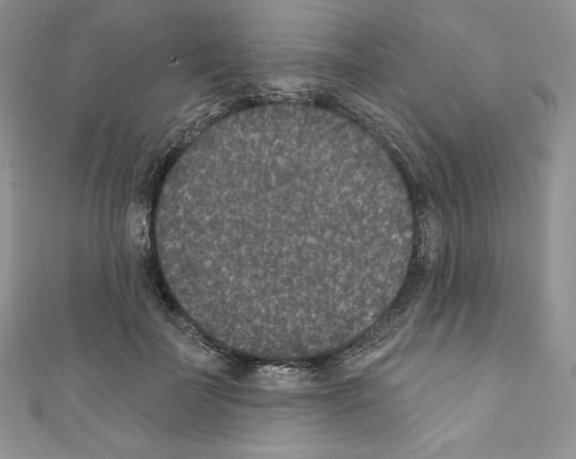 X0000110760699200907271144