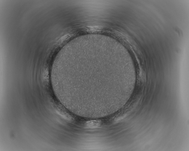 X0000110760700200907271144