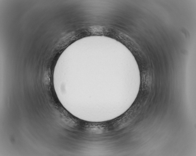 X0000110760702200907271144