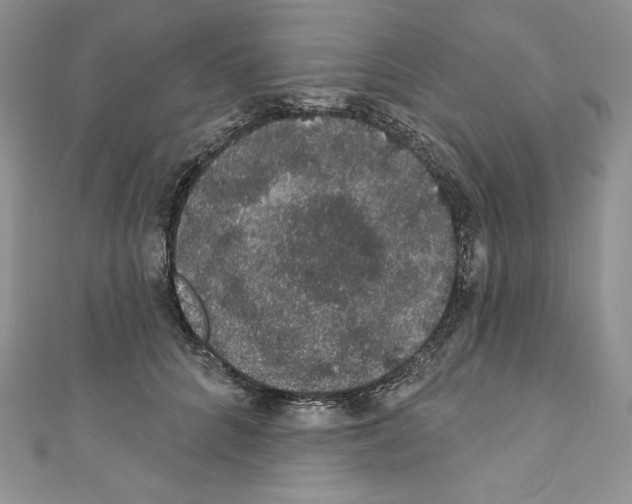 X0000110760704200907271144