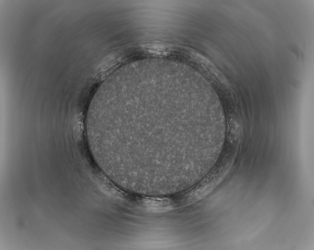 X0000110760707200907271144