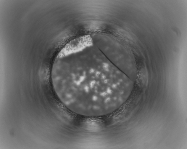 X0000110760708200907271144