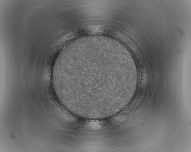 X0000110760710200907271144