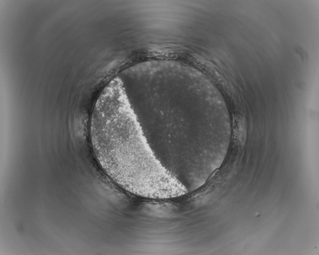 X0000110760712200907271144