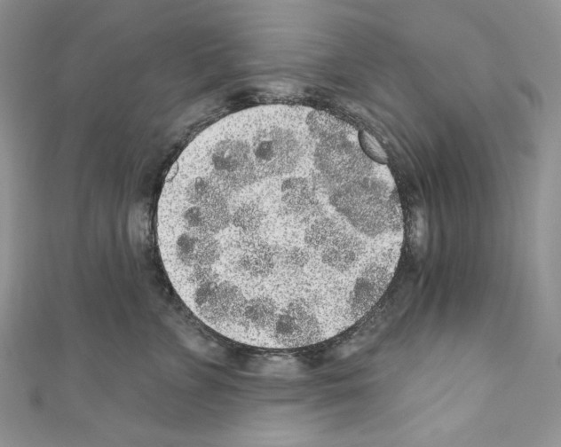 X0000110760715200907271144