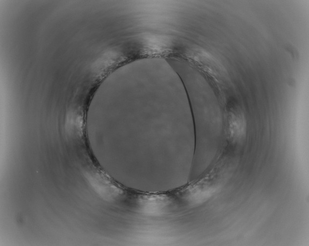 X0000110760716200907271144