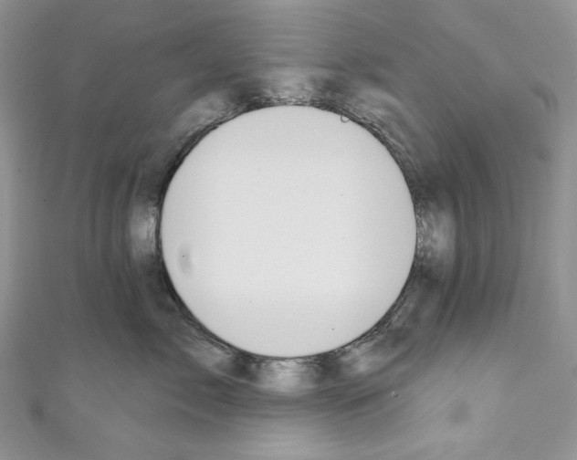 X0000110760717200907271144
