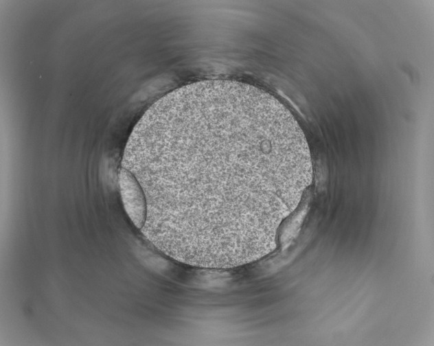 X0000110760719200907271144