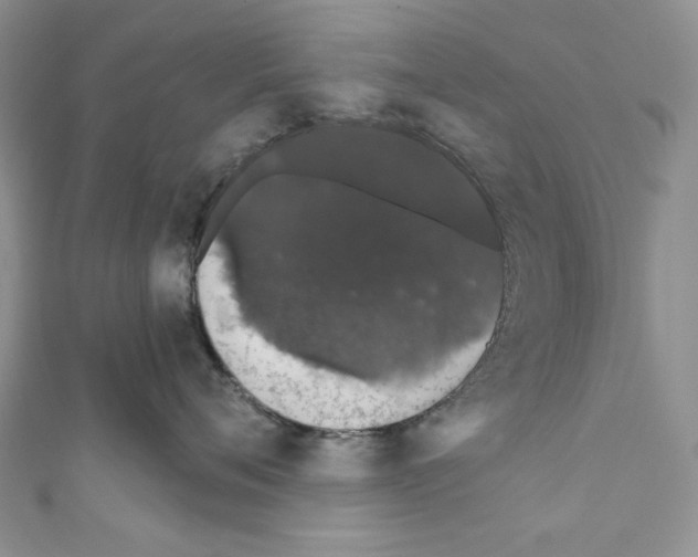 X0000110760720200907271144
