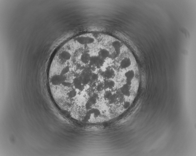 X0000110760721200907271143