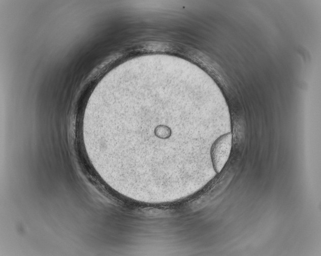 X0000110760722200907271143