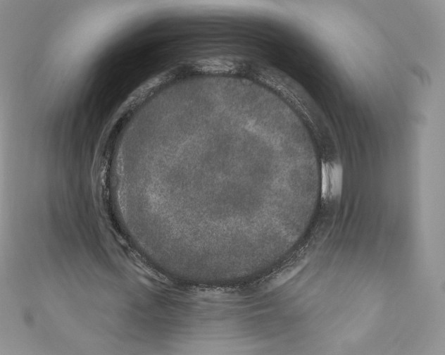 X0000110760723200907271143