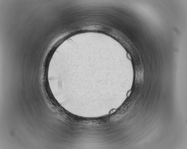 X0000110760724200907271143