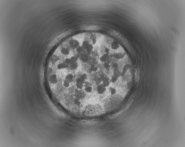 X0000110760725200907271143