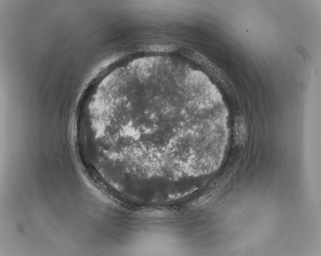 X0000110760726200907271143