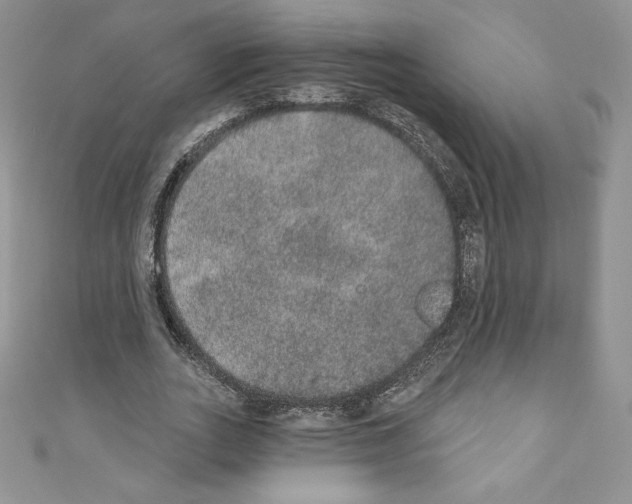 X0000110760727200907271143